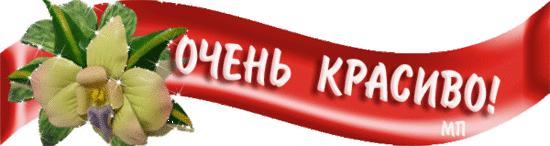 http://www.img3.imgbb.ru/5/8/5/5855a9660a5ad0a1c9f1710e6ea9bd80.gif