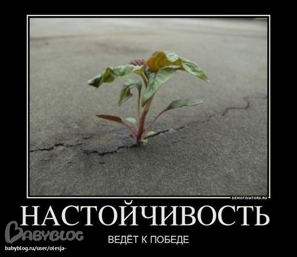 -изображение-